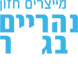 נהריים בגשר