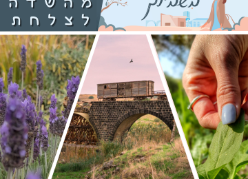 שישי בשבילך – מפגש מיוחד לנשים שבחזית: אלמנות צה"ל, נשות קבע, מילואימניקיות ונשות מילואימניקים
