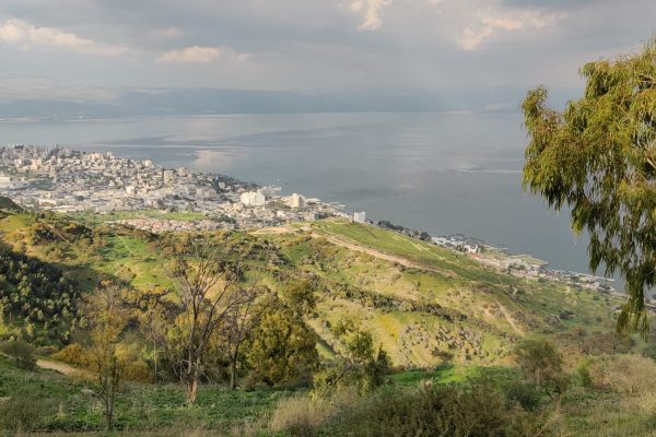 דרך נוף יער שוויץ